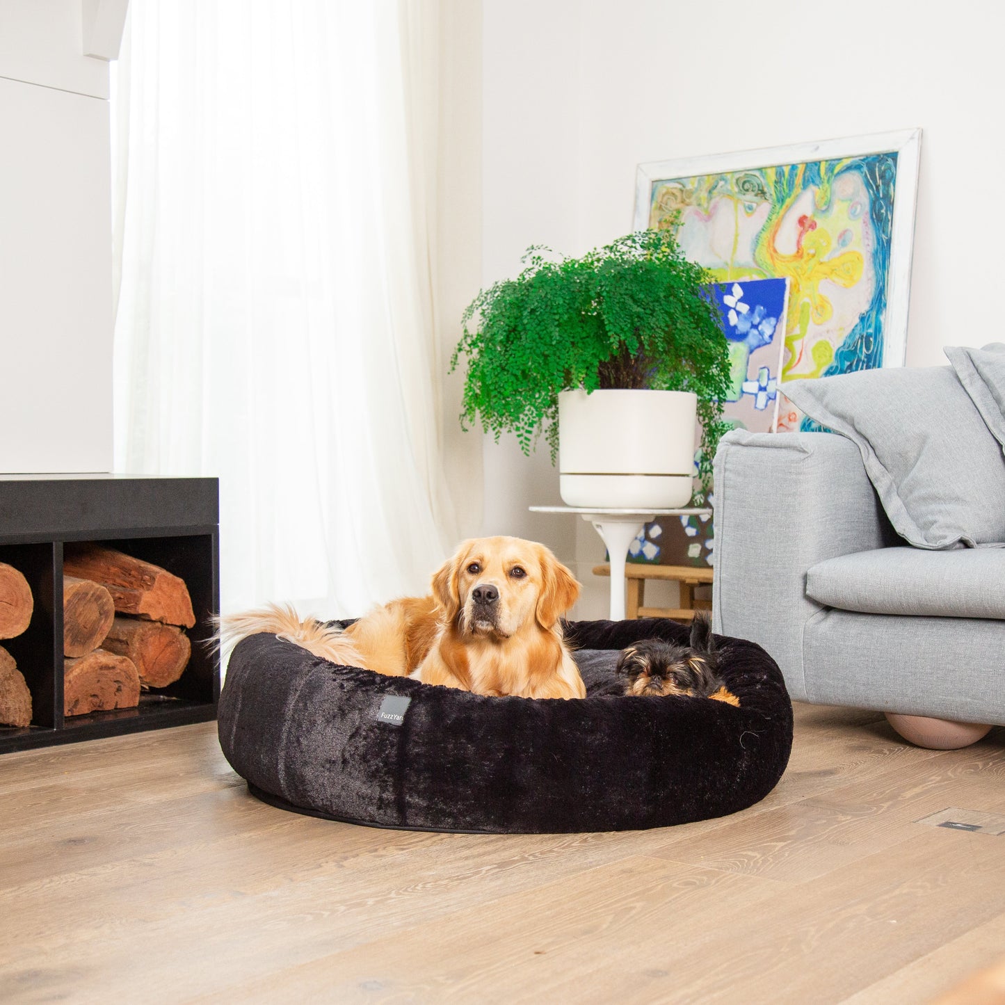 Dog lying on a black pet bed in a living room with a black sofa and fireplace.