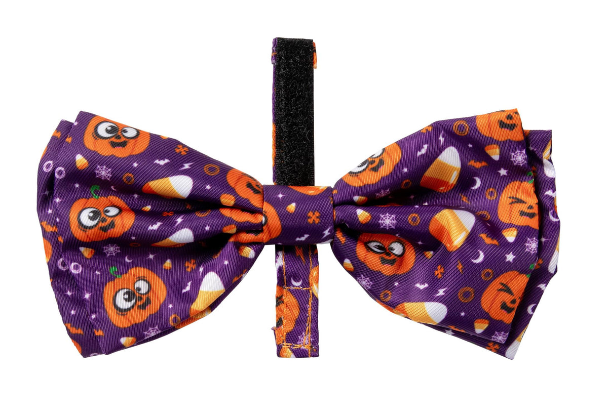 BOWTIE - HALLOWEEN