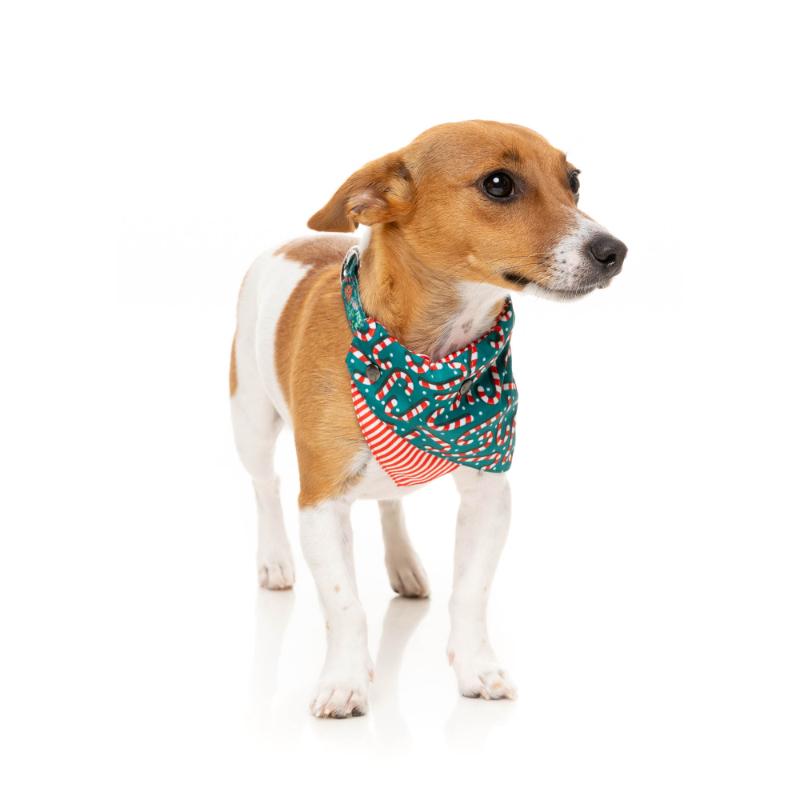 Candy Cane Green Pet Bandana