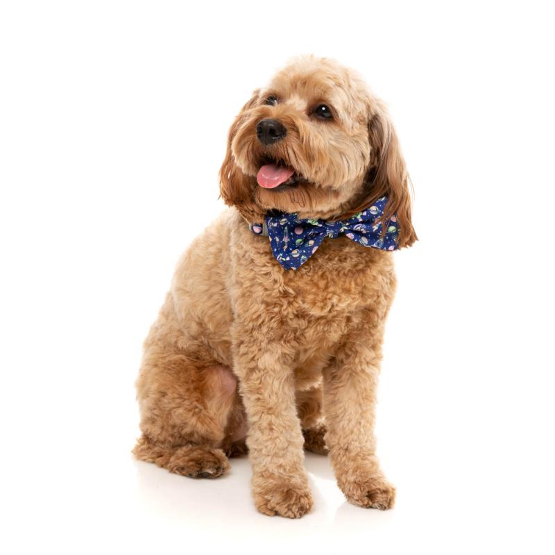 Pluto Pup Pet Bowtie
