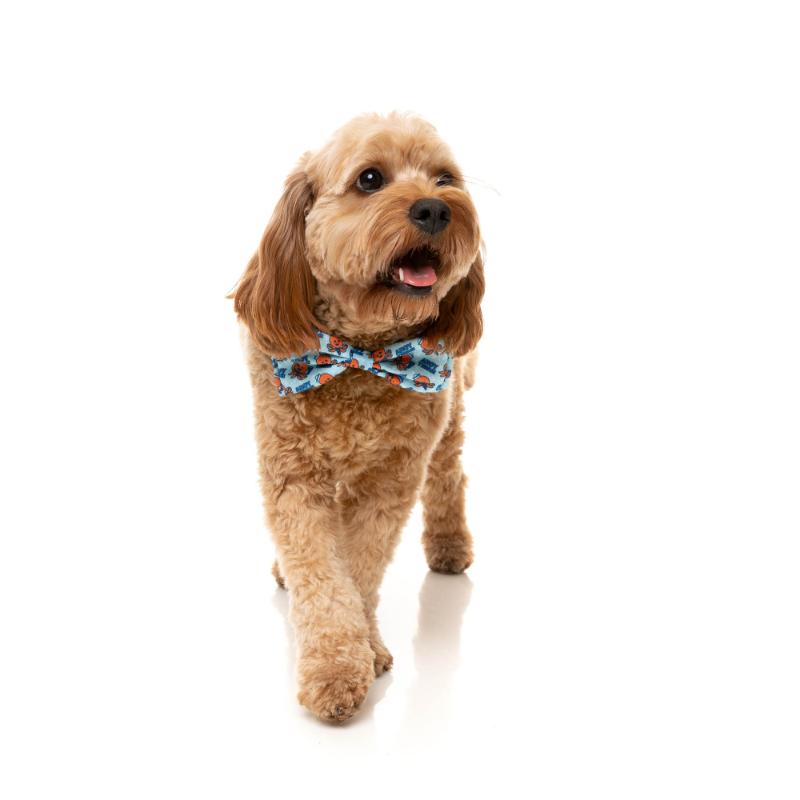 Ahoy There Pet Bowtie