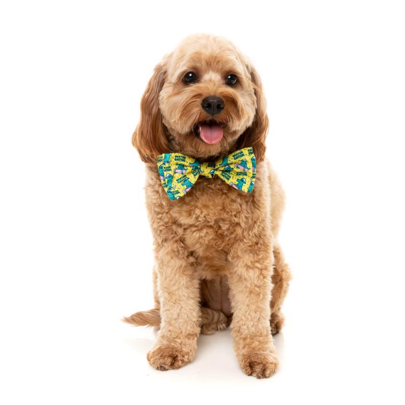 Sk8ter Gator Pet Bowtie