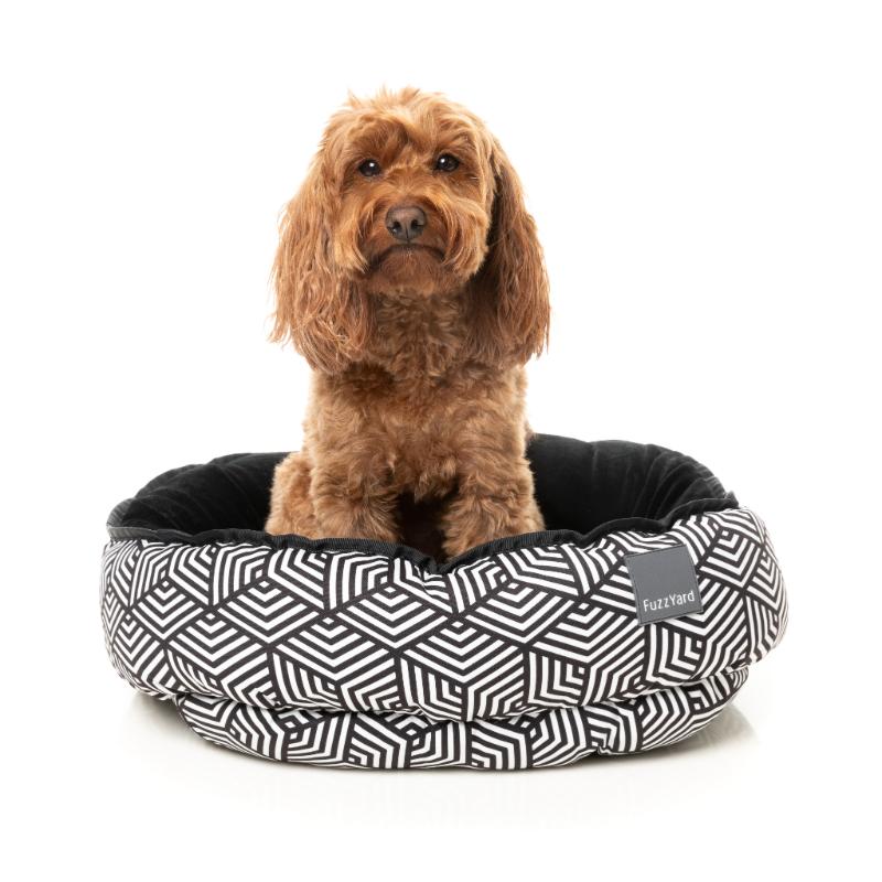 Fitzroy FuzzYard Reversible Bed
