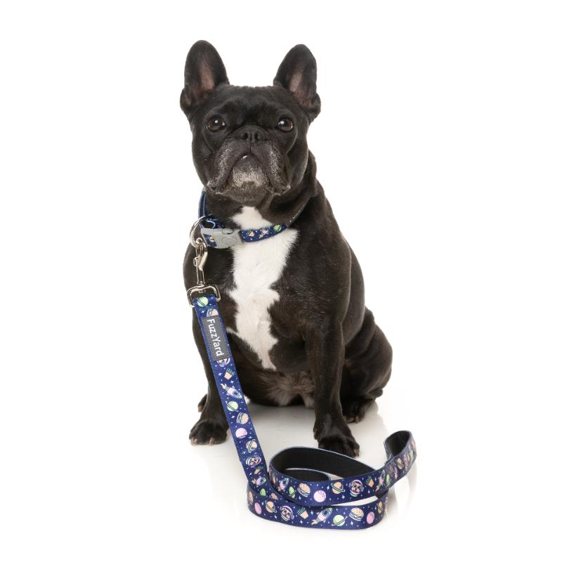 Pluto Pup Dog Collar
