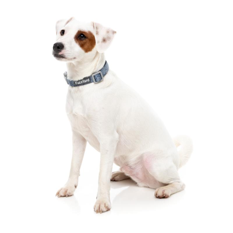 Collier pour chien - Modèle ver.2