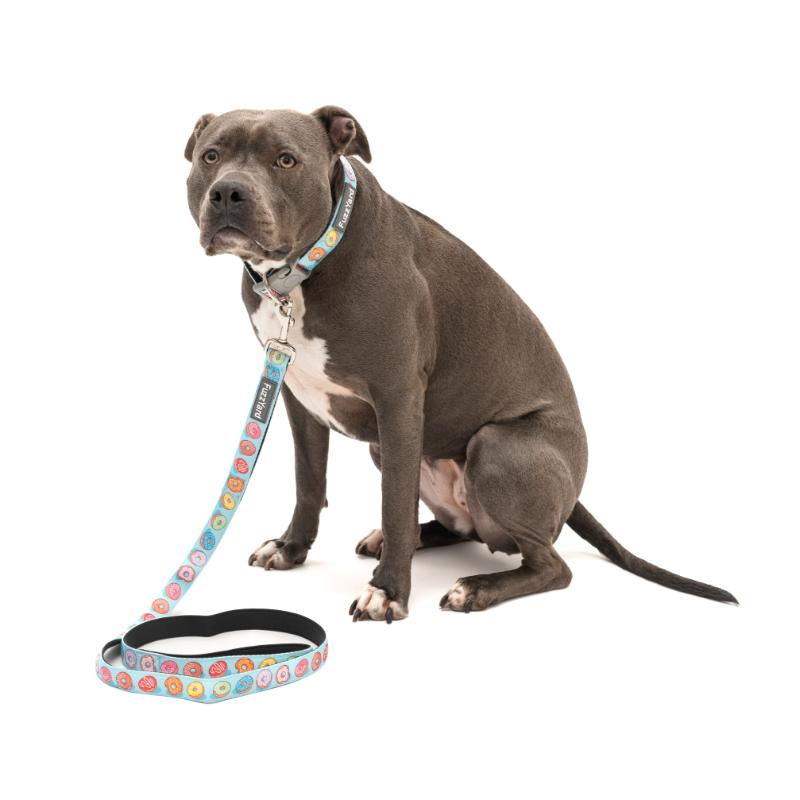 You Drive Me Glazy Dog Collar