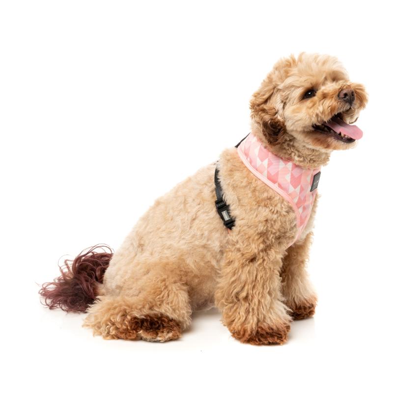 Pink Lemonade Harness