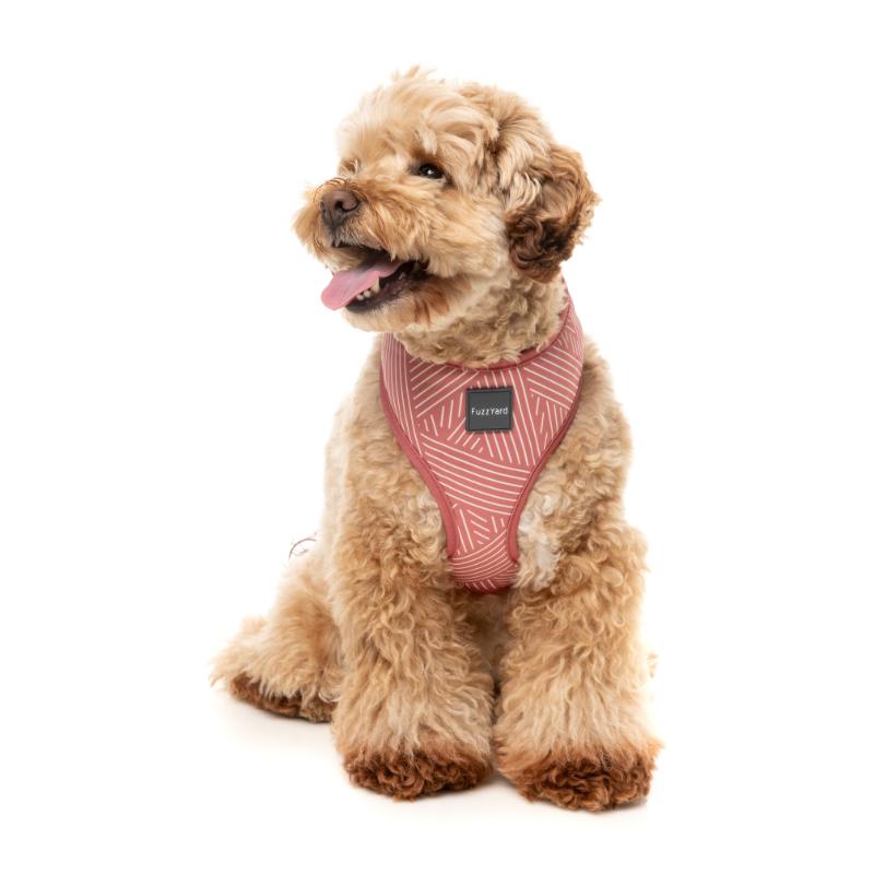 Thornbury - Brick Red Harness