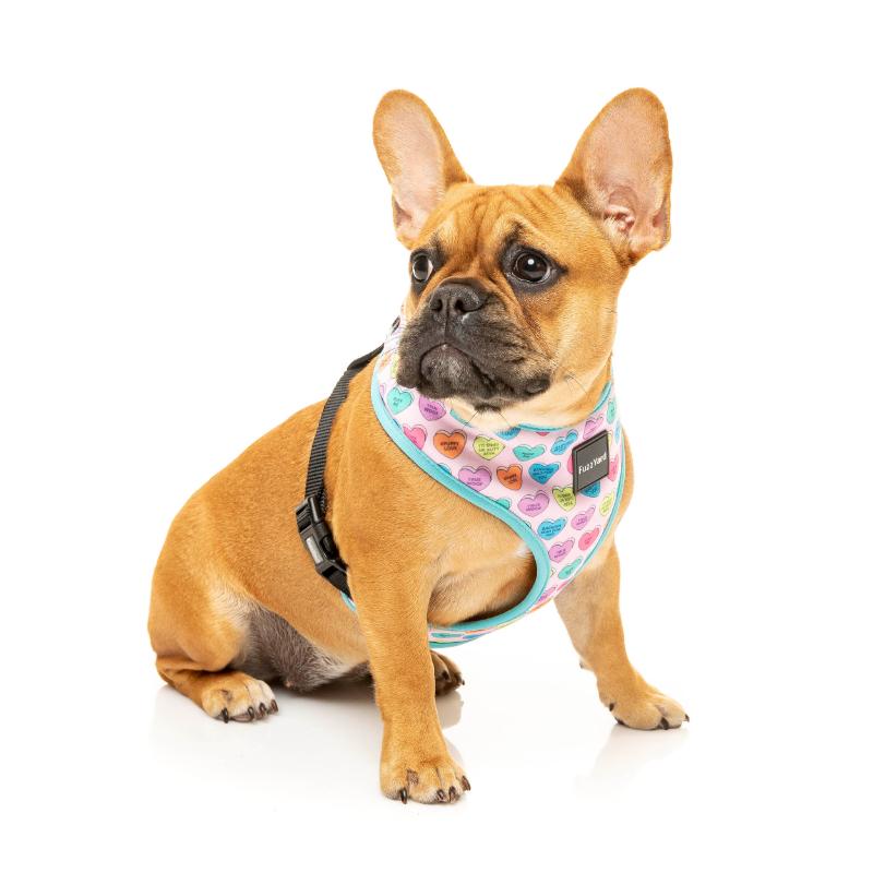Candy Hearts Harness