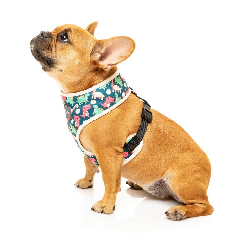 Dinosaur Land Harness
