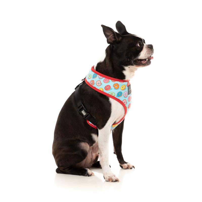 You Drive Me Glazy Harness