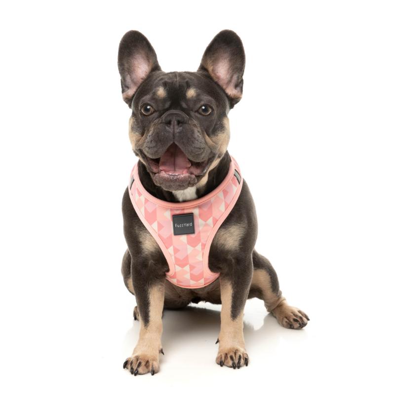 Pink Lemonade Dog Step In Harness