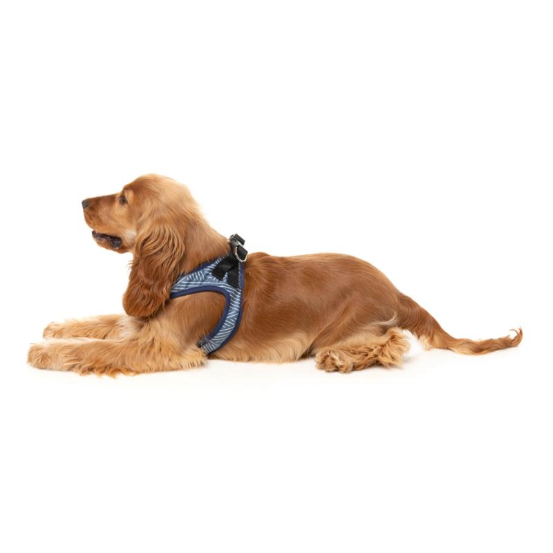 Thornbury - Aegean Blue Dog Step In Harness