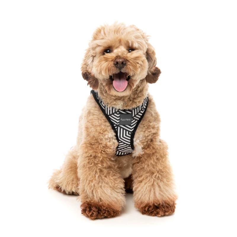 Fitzroy Dog Step In Harness