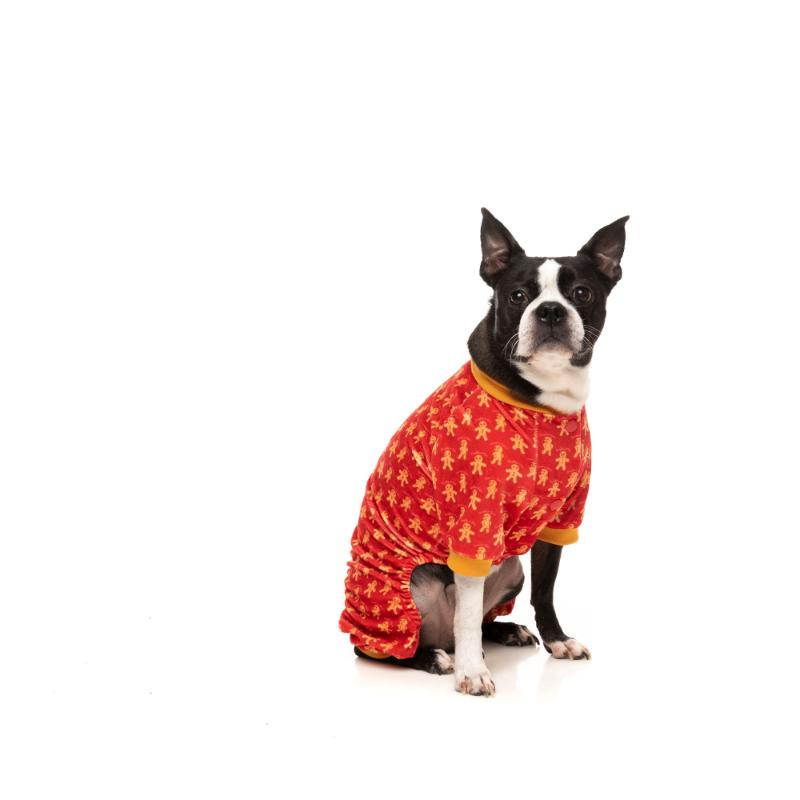 Naughty Ginger Dog Pajamas