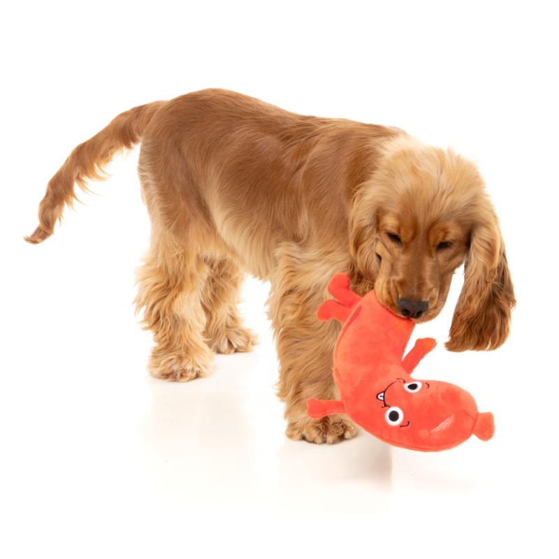 Dog Toy - Meat Heads