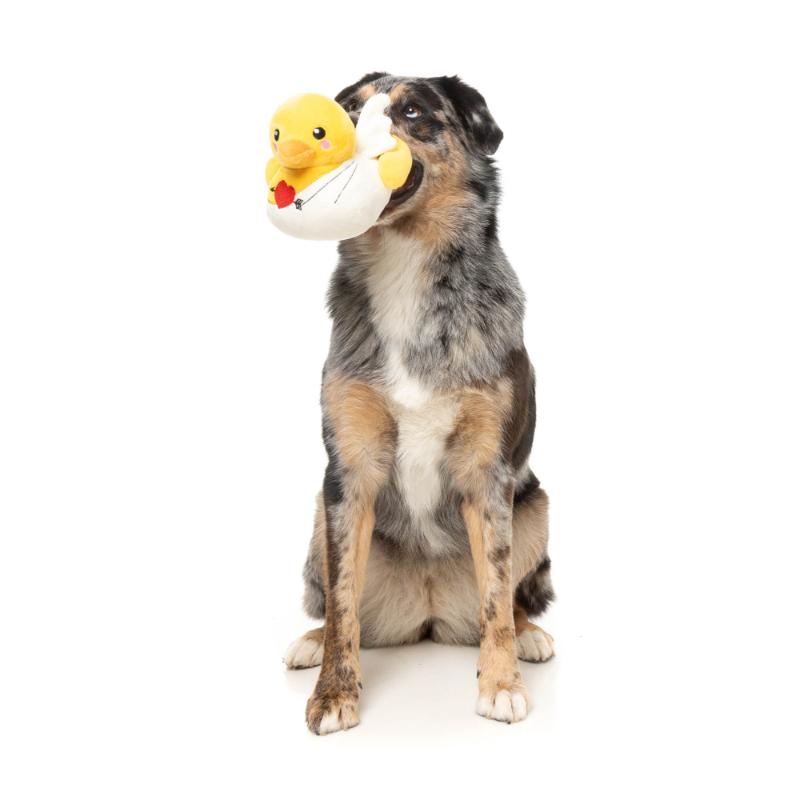 Dog Toy - Ducks