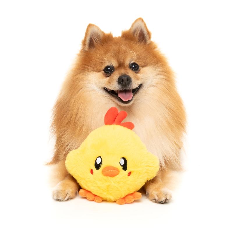 Dog Toy - Hen-Rietta