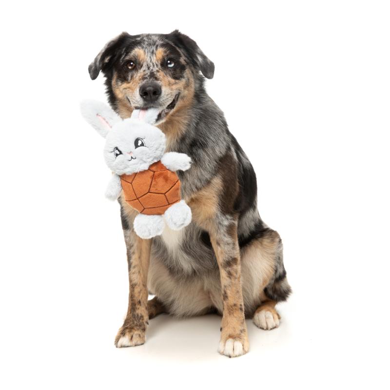 Dog Toy - Choc Belly Bunny