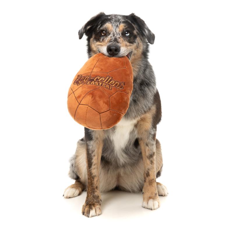 Dog toy - Jumbo Easter Egg