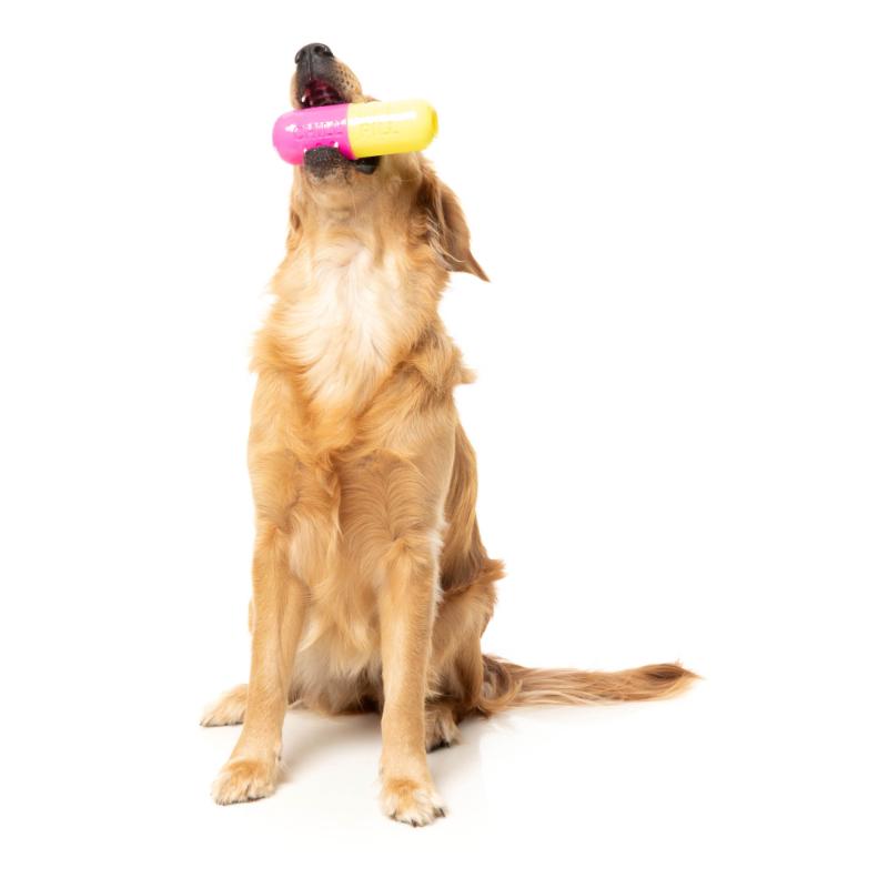 Jouet pour chien - Jouet à mâcher interactif