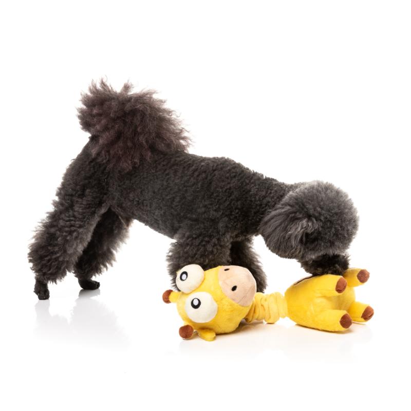 Dog Toy - Neck Minnits