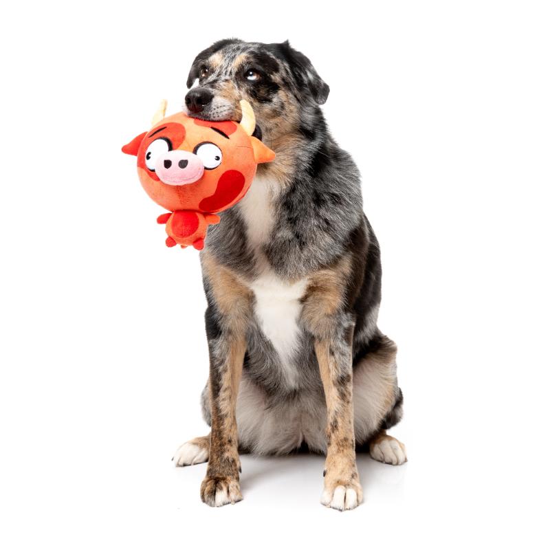 Dog Toy - The Noggins