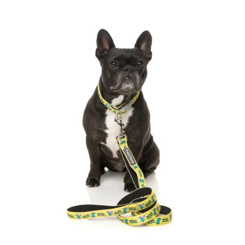 Sk8ter Gator Dog Lead