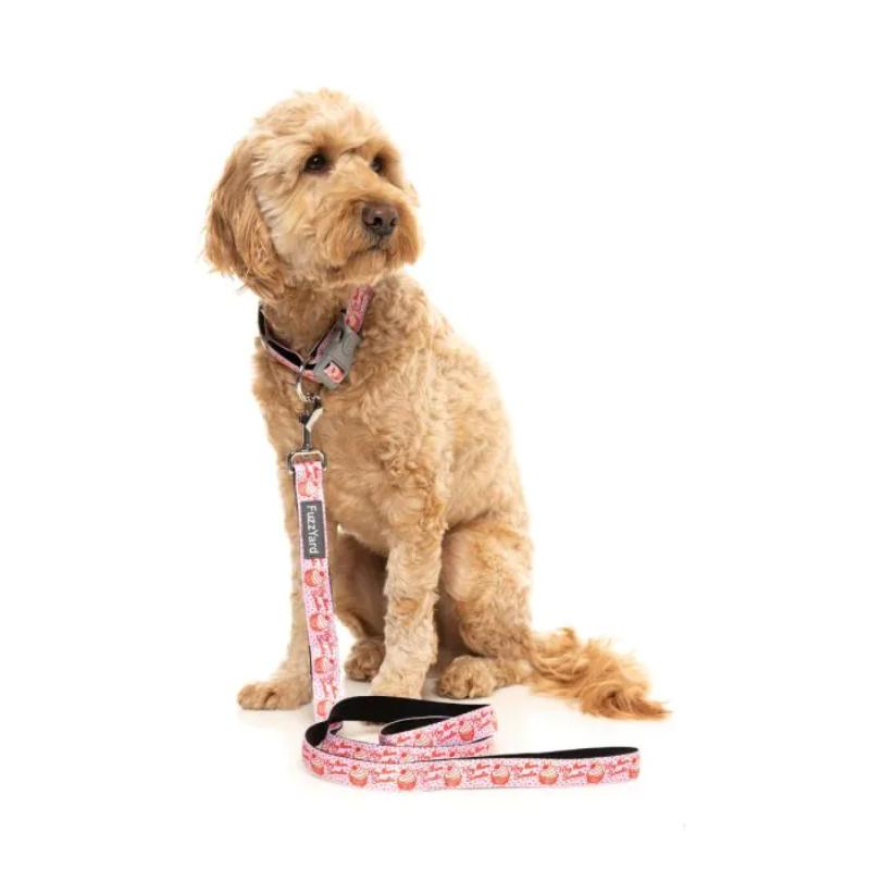 Hey There Sweetie Dog Lead