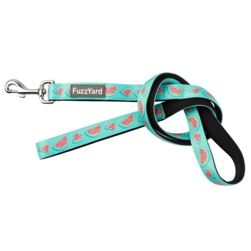 Summer Punch Dog Lead