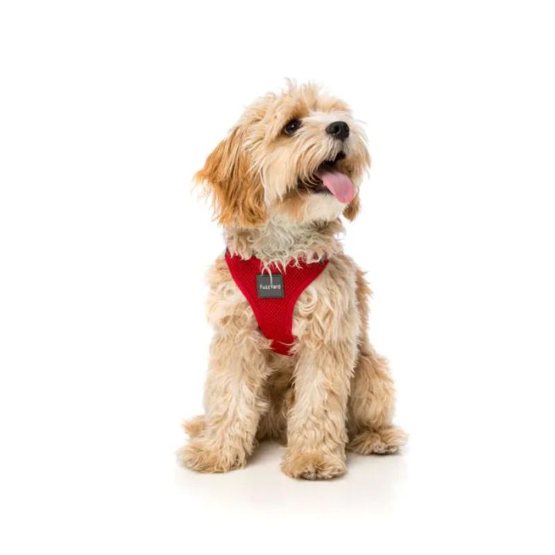 Rebel Dog Step In Harness