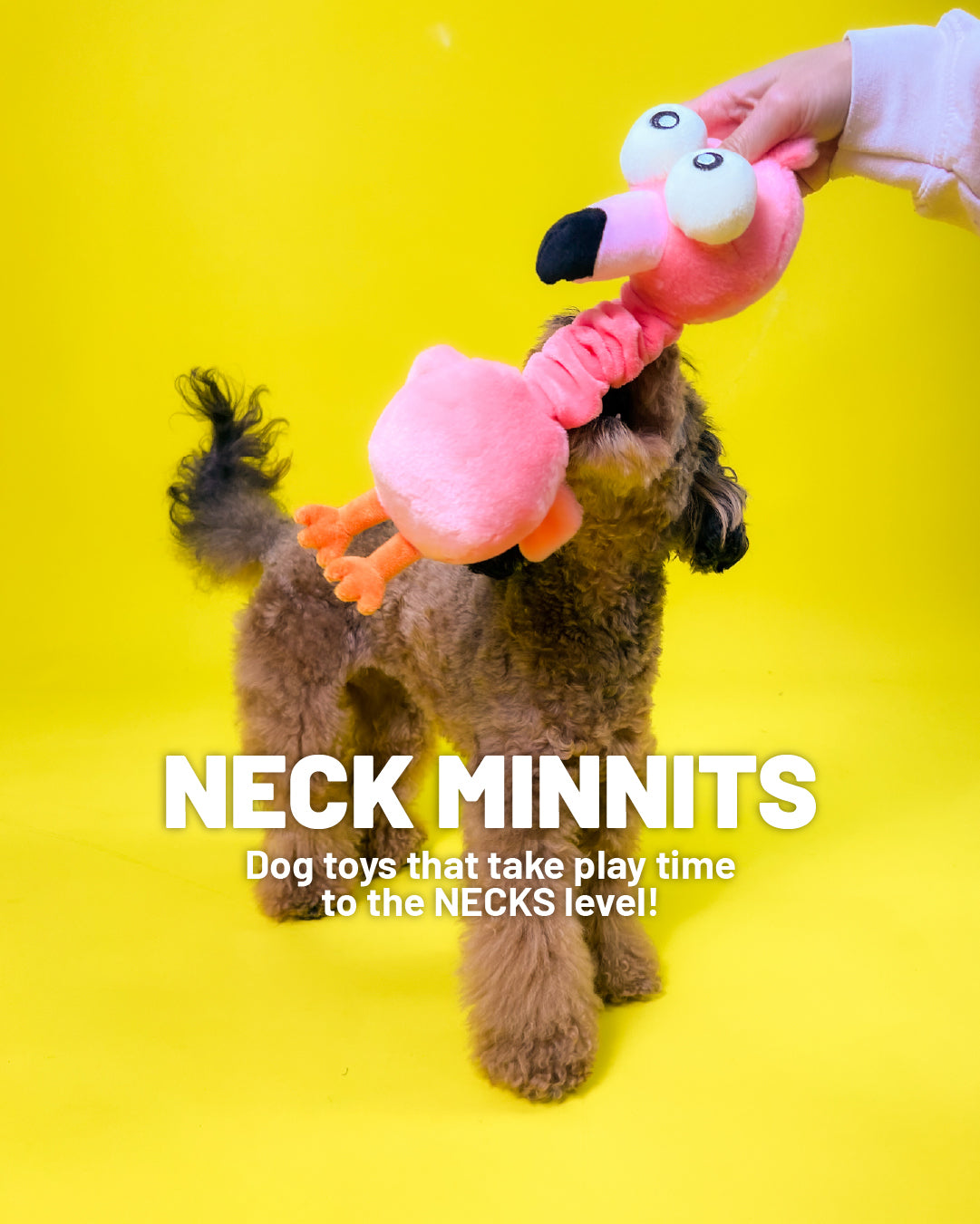 Neck Minnits