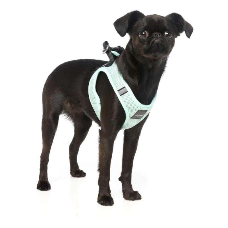 Mint Dog Step In Harness