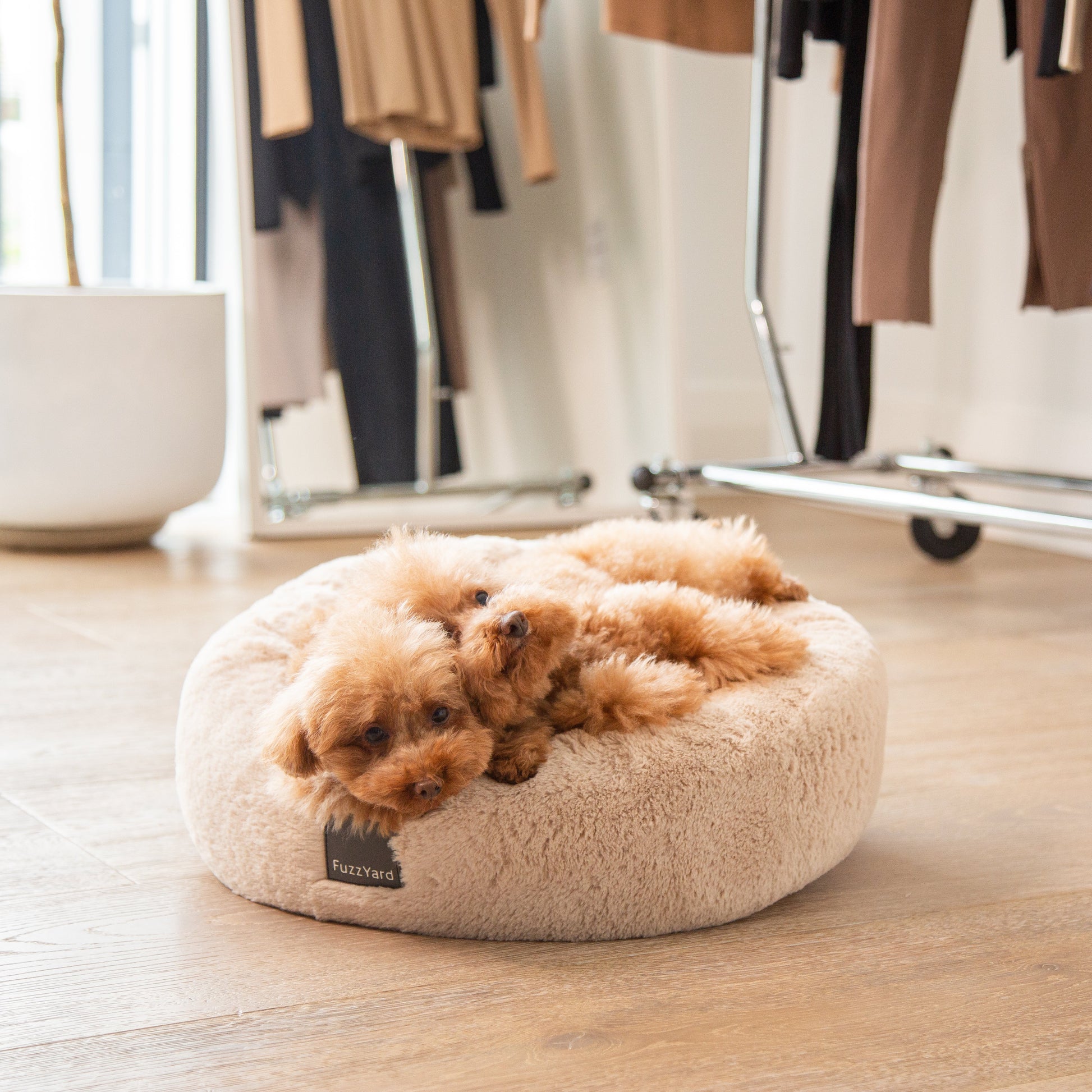 Small dog lying on a fluffy beige pet bed in a room with clothing racks.