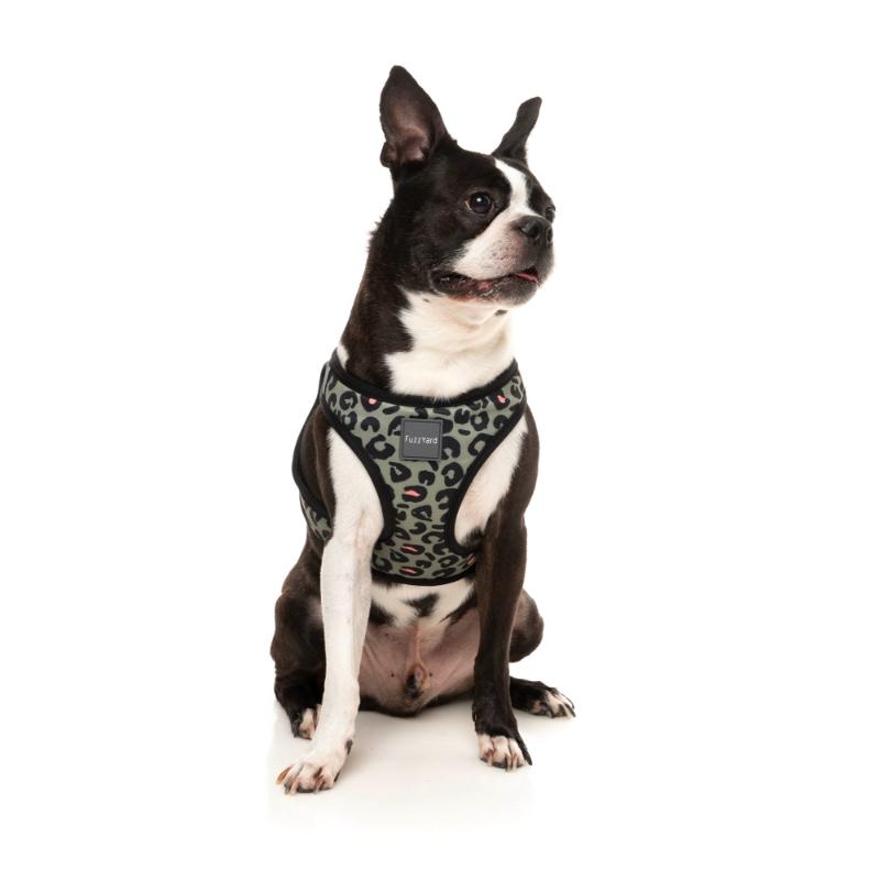 Savanna Dog Step In Harness