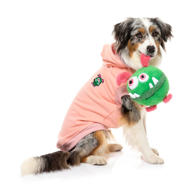 Sweat à capuche Yardsters 