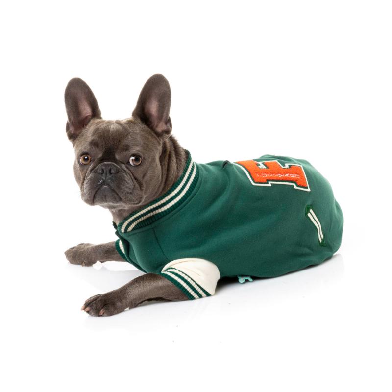 The Letterman Jacket