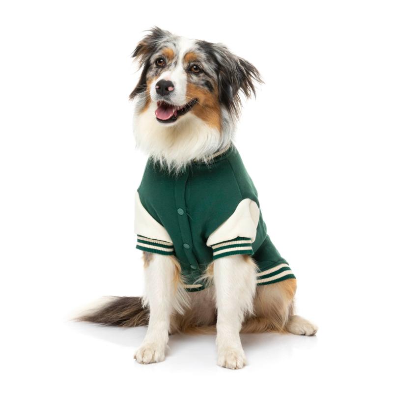 The Letterman Jacket