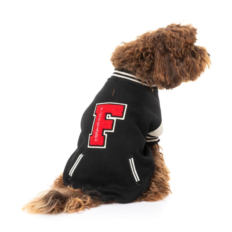 The Letterman Jacket