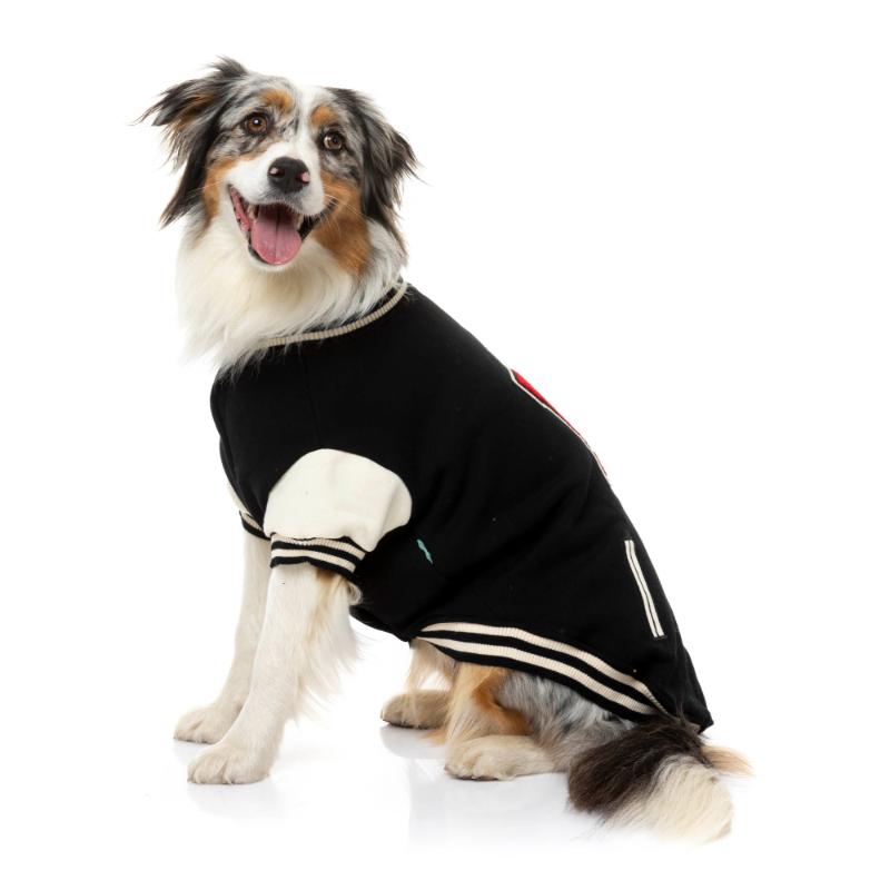 The Letterman Jacket