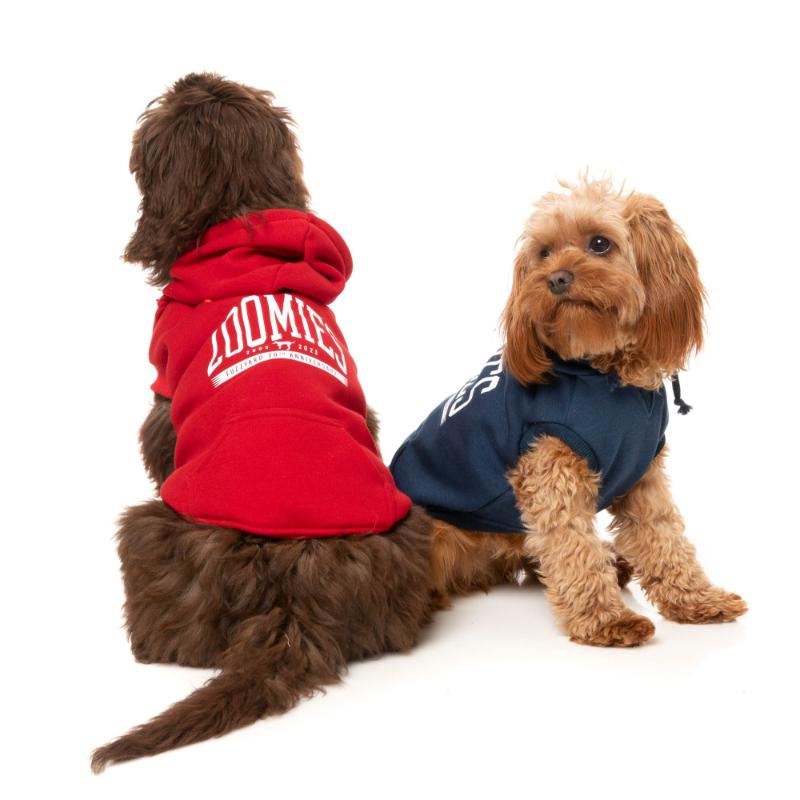 Sweat à capuche Zoomies 