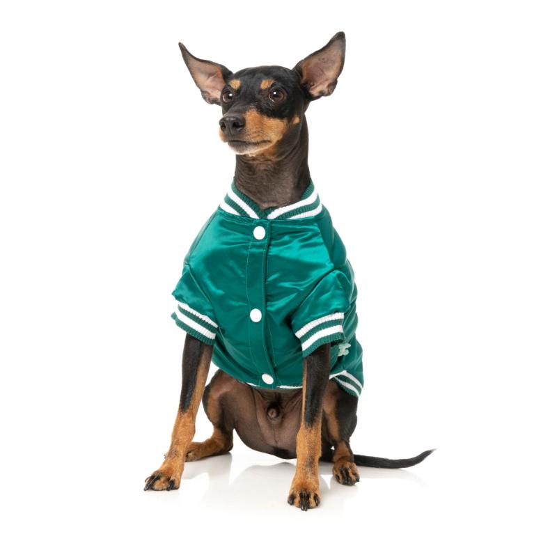 Veste Fastball 