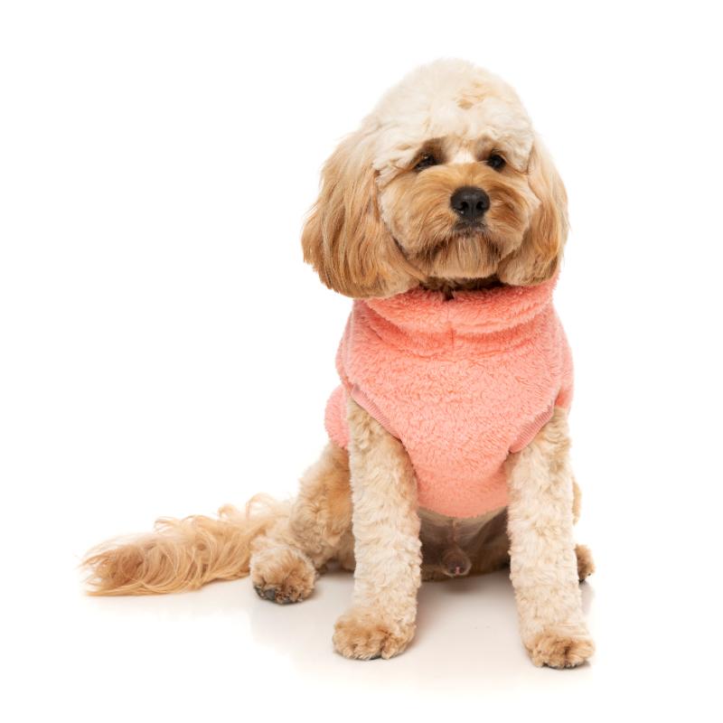 Turtle Teddy Sweater - Ver 1.0