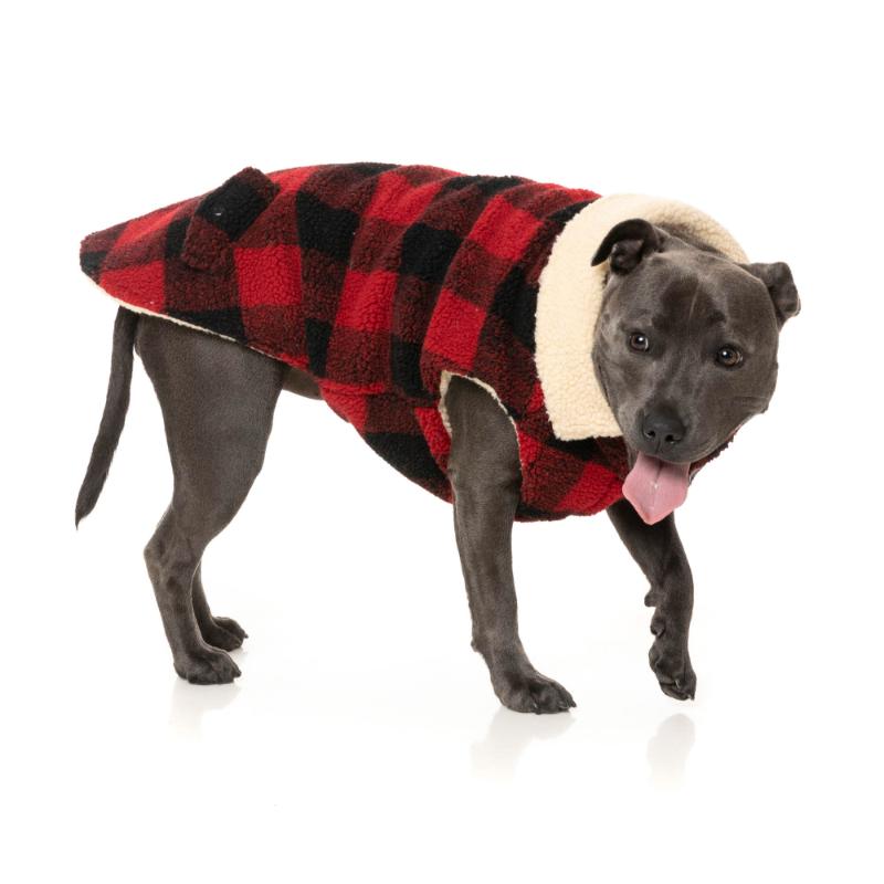 The Lumberjack - With Collar