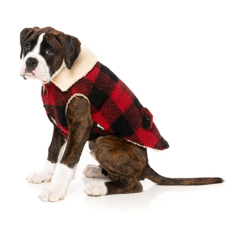 The Lumberjack - With Collar