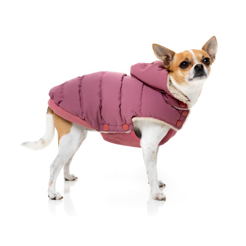 Essential Puffer Jacket