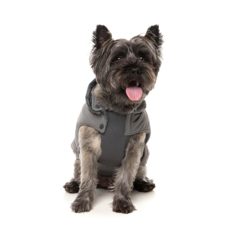 Essential Padded Jacket