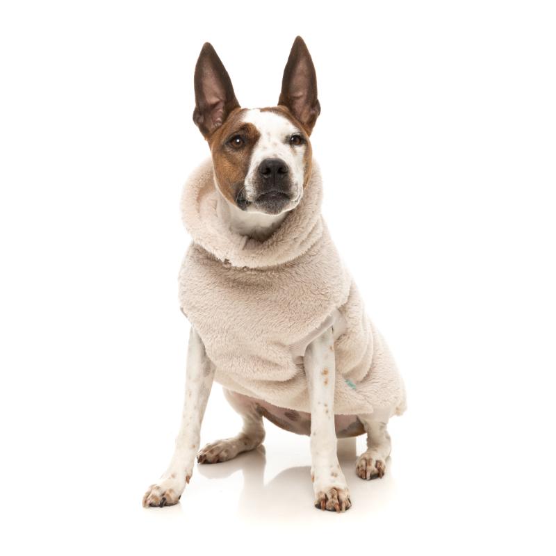 Turtle Teddy Sweater - Ver 3.0