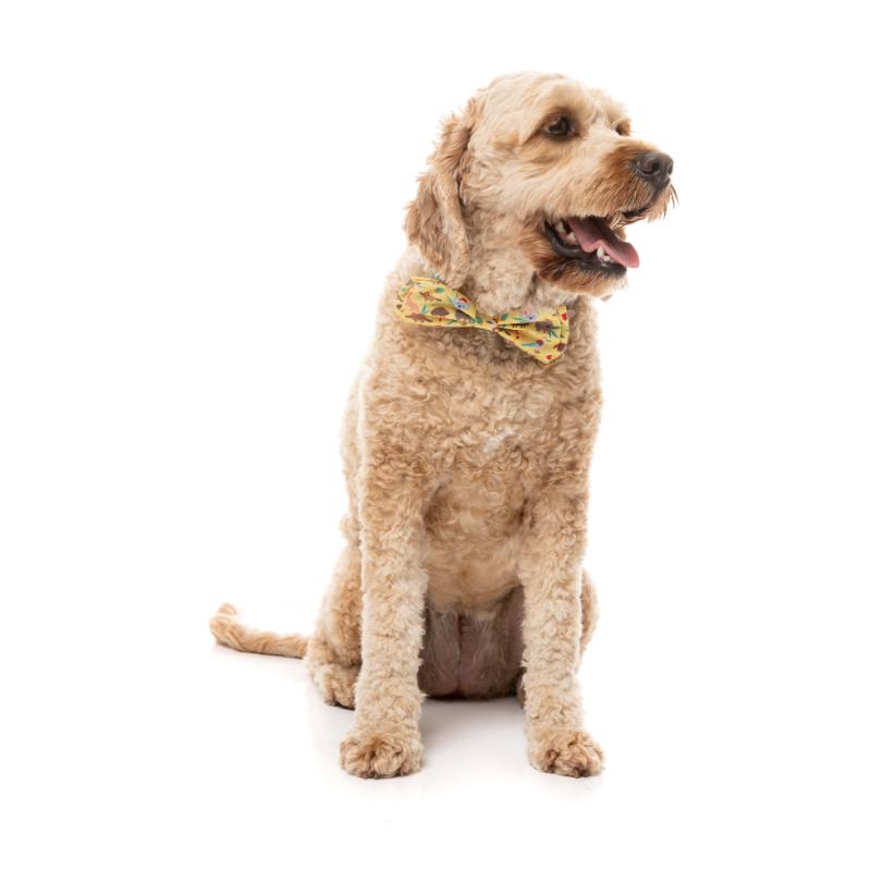 Nœuds papillon pour animaux de compagnie - Noël