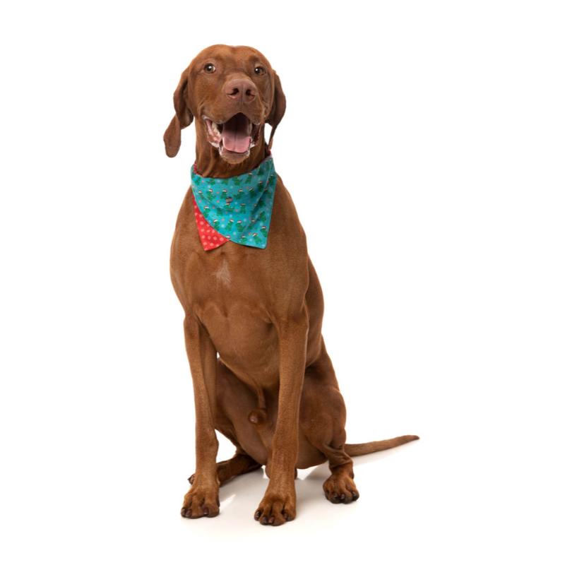 Tree Rex Pet Bandana